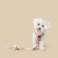 Load image into Gallery viewer, SoHo Dog Harness - Blush Pink