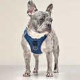 Load image into Gallery viewer, DOGISTRY SoHo Dog Harness - Denim
