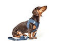 SoHo Dog Harness - Denim