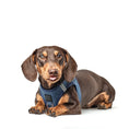 Load image into Gallery viewer, DOGISTRY SoHo Dog Harness - Denim