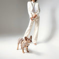 Load image into Gallery viewer, DOGISTRY SoHo Dog Harness - Dune