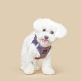 Load image into Gallery viewer, DOGISTRY SoHo Dog Harness - Lilac Gray