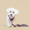 Load image into Gallery viewer, DOGISTRY 3-in-1 City Dog Leash - Lilac Gray