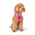 Load image into Gallery viewer, SoHo Dog Harness - Park Ave Pink