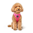 Load image into Gallery viewer, DOGISTRY SoHo Dog Harness - Park Ave Pink