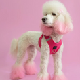 Load image into Gallery viewer, SoHo Dog Harness - Park Ave Pink
