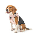 Load image into Gallery viewer, DOGISTRY SoHo Dog Harness - Sweetheart