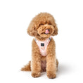 Load image into Gallery viewer, DOGISTRY SoHo Dog Harness - Sweetheart