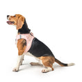 Load image into Gallery viewer, DOGISTRY SoHo Dog Harness - Sweetheart