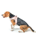 Load image into Gallery viewer, SoHo Dog Harness - Sweetheart