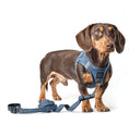 Load image into Gallery viewer, DOGISTRY SoHo Dog Harness - Denim