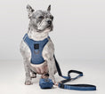 Load image into Gallery viewer, DOGISTRY SoHo Dog Harness - Denim