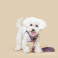 Load image into Gallery viewer, DOGISTRY Poop Bag Holder - Lilac Gray