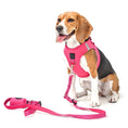 Load image into Gallery viewer, DOGISTRY SoHo Dog Harness - Park Ave Pink