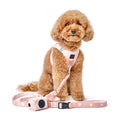 Load image into Gallery viewer, DOGISTRY SoHo Dog Harness - Sweetheart