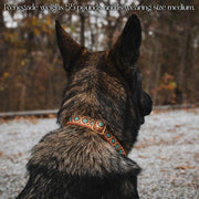 Southwest Spirit Collar