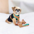 Load image into Gallery viewer, Southwest Spirit Leash - Southlake Paws