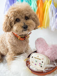Load image into Gallery viewer, Ainsley Dog Collar