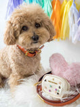 Load image into Gallery viewer, Ainsley Dog Collar