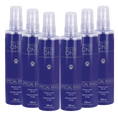 Load image into Gallery viewer, Dog Special Rinse Dry Shampoo box of 6 250 ml by Special One
