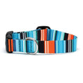 Load image into Gallery viewer, Up Country Serape Stripe Printed Cast Brass Dog Collar