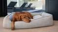 Load image into Gallery viewer, Bowsers Sterling Lounge Orthopedic Dog Bed in berry