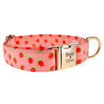 Strawberries Collar