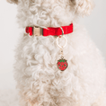 Load image into Gallery viewer, Strawberry Pet Charm