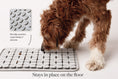 Load image into Gallery viewer, LAY LO Snuffle Mat
