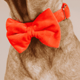 Load image into Gallery viewer, Suki Dog Bow Tie