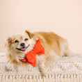 Load image into Gallery viewer, Suki Dog Babe Bow