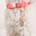 Load image into Gallery viewer, Summer Drink Pet Charm