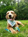 Load image into Gallery viewer, Surfboard Dog Bandana