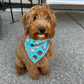 Load image into Gallery viewer, Sushi Dog Bandana -Design Faces Up