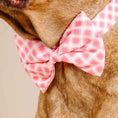 Load image into Gallery viewer, Sutton Dog Bow Tie