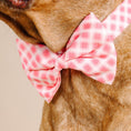 Load image into Gallery viewer, Sutton Dog Bow Tie