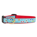 Swim Time Narrow Dog Collar