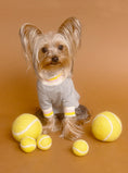 Load image into Gallery viewer, WOOL TENNIS BALL - Southlake Paws
