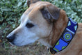 Load image into Gallery viewer, TKC Passion Flower Beaded Dog Collar