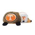 Load image into Gallery viewer, Tennessee Plush Hedgehog Toy