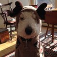 Load image into Gallery viewer, Moosey Hoodie Dog Sweater