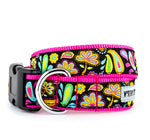Floral Paisley Collar & Lead Collection