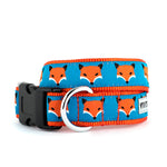 Foxy Collar & Lead Collection