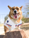 Load image into Gallery viewer, MLB Minnesota Twins Mesh Dog Jersey