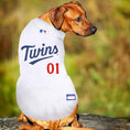 Load image into Gallery viewer, MLB Minnesota Twins Mesh Dog Jersey