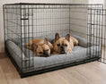 Load image into Gallery viewer, Bowsers Tango Multi Bed Convertible Dog Bed in blush