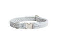 Load image into Gallery viewer, Bowsers Designer Buckle Dog Collar in harper-stripe