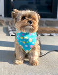 Load image into Gallery viewer, Teal Easter Egg Dog Bandana