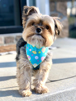 Teal Easter Egg Dog Bandana
