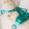 Load image into Gallery viewer, Puppuccino & Tennis Ball Pet Charm Set